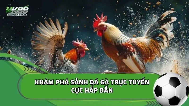 Tổng quan về sảnh đá gà UK88