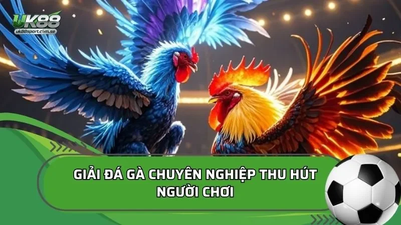 các sảnh đá gà