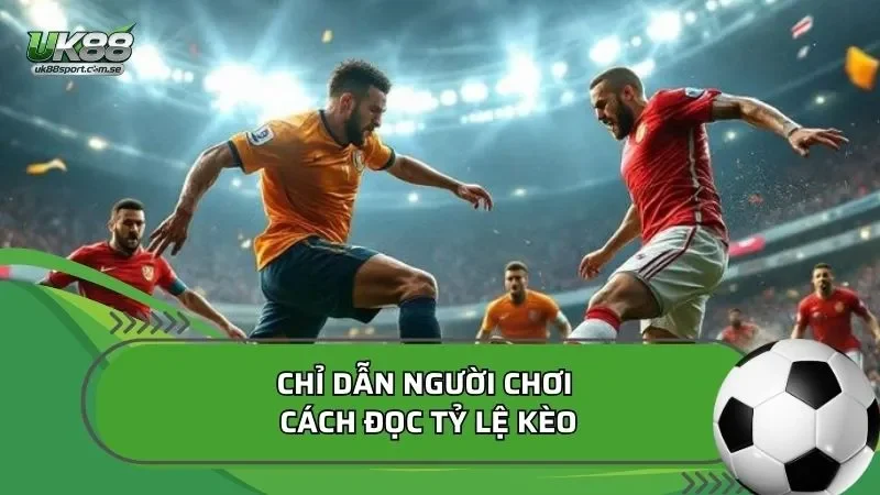 cách đọc tỷ lệ kèo