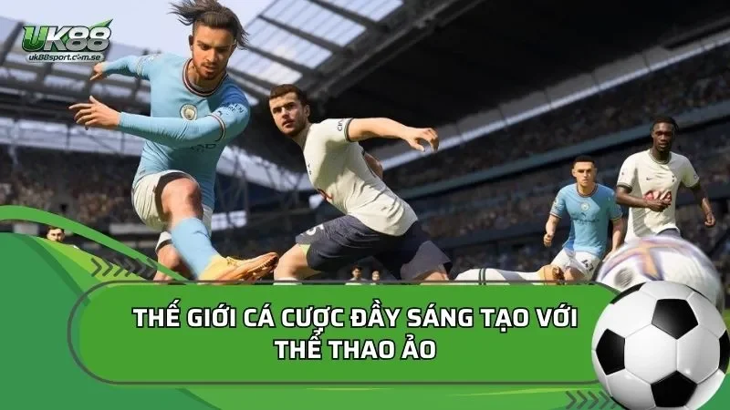 Tổng quan về sảnh thể thao ảo