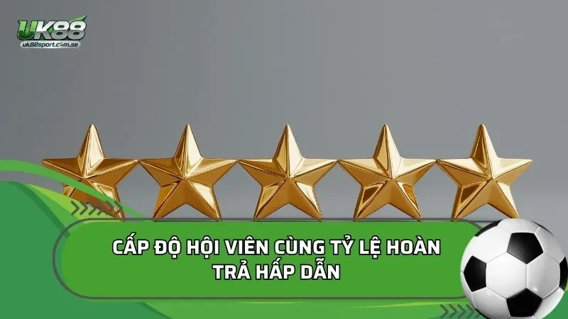Cấp độ hội viên cùng tỷ lệ hoàn trả hấp dẫn